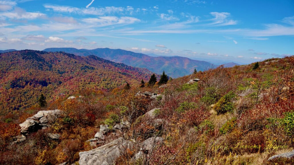 Landscape view from the Sam Knob Summit