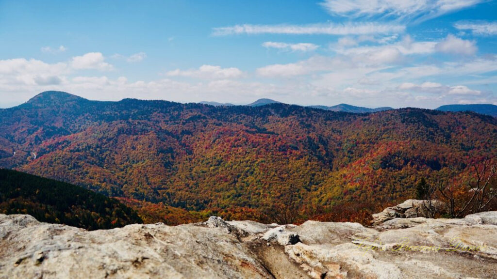 Landscape view from the Sam Knob Summit