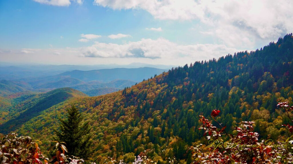 Landscape view of the colorful blue ridge mountains. Passing clouds overhead.