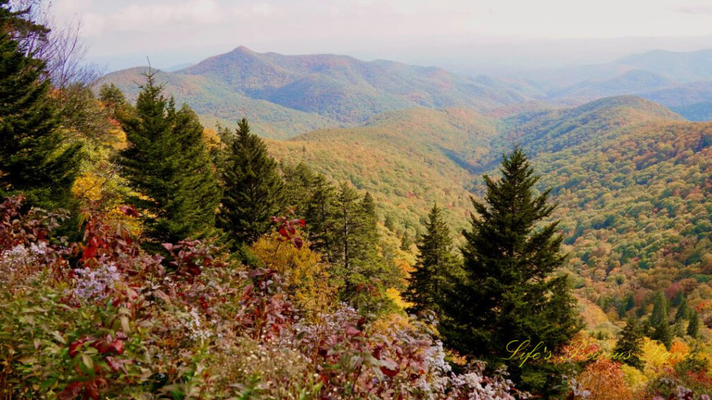 Landscape view of the colorful blue ridge mountains.