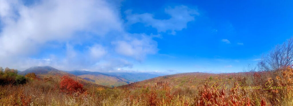 Landscape view from the Sam Knob Summit