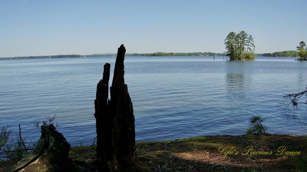 Waterscape view of Lake Murray. A small island of trees in the background and a shadowed stump in the foreground.