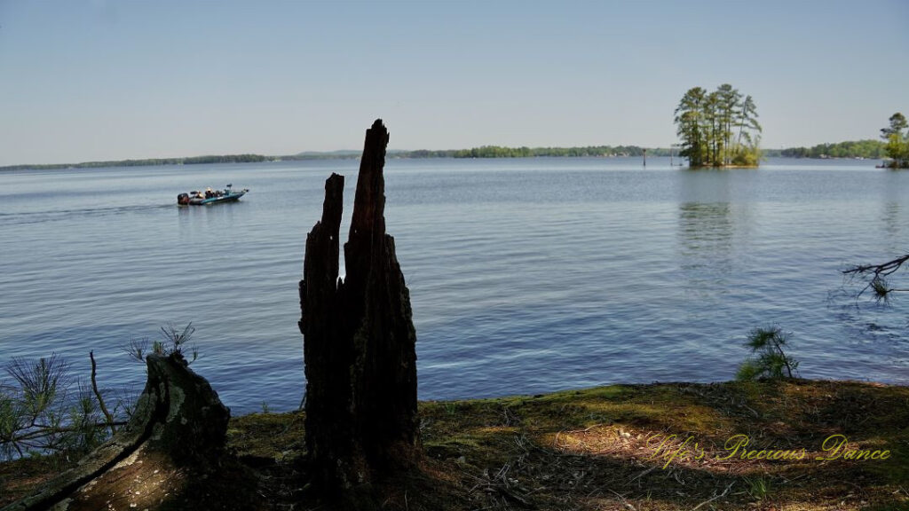 Waterscape view of Lake Murray. A small island of trees in the background and a shadowed stump in the foreground. A passing fishing skirts across the scene.