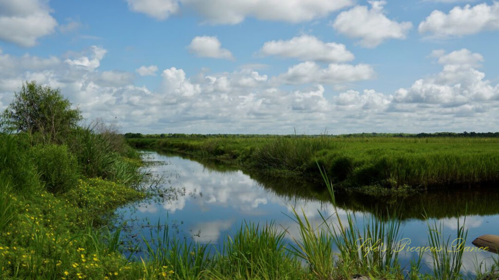 Landscape view of a canal running through a marsh at Savannah NWR. Wildflowers along the side and fluffy clouds overhead reflecting in the water.