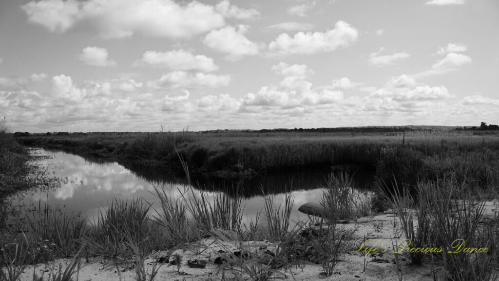 Black and landscape view of a canal at Savannah NWR. Passing clouds overhead reflecting in the water.