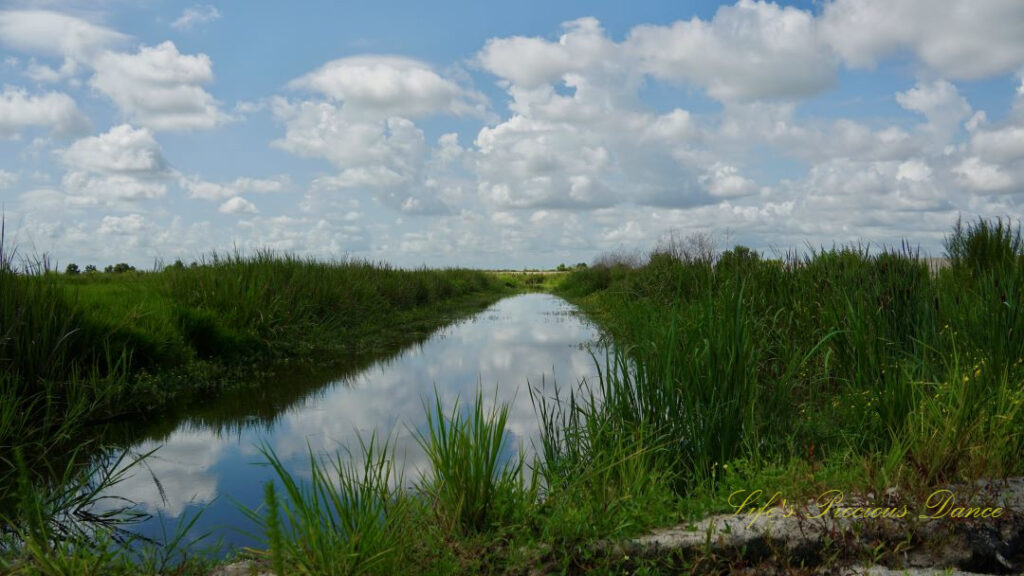 Landscape view of a canal running through a marsh at Savannah NWR. Fluffy clouds overhead reflecting in the water.