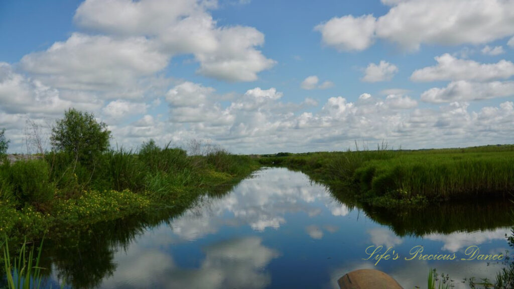 Landscape view of a canal running through a marsh at Savannah NWR. Wildflowers along the side and fluffy clouds overhead reflecting in the water.