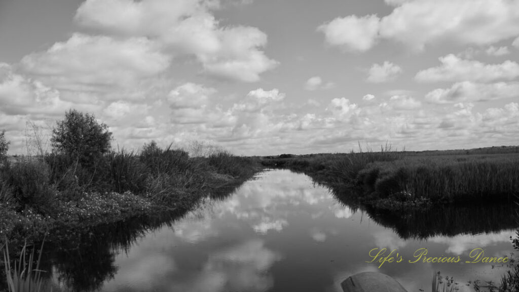 Black and landscape view of a canal at Savannah NWR. Passing clouds overhead reflecting in the water.