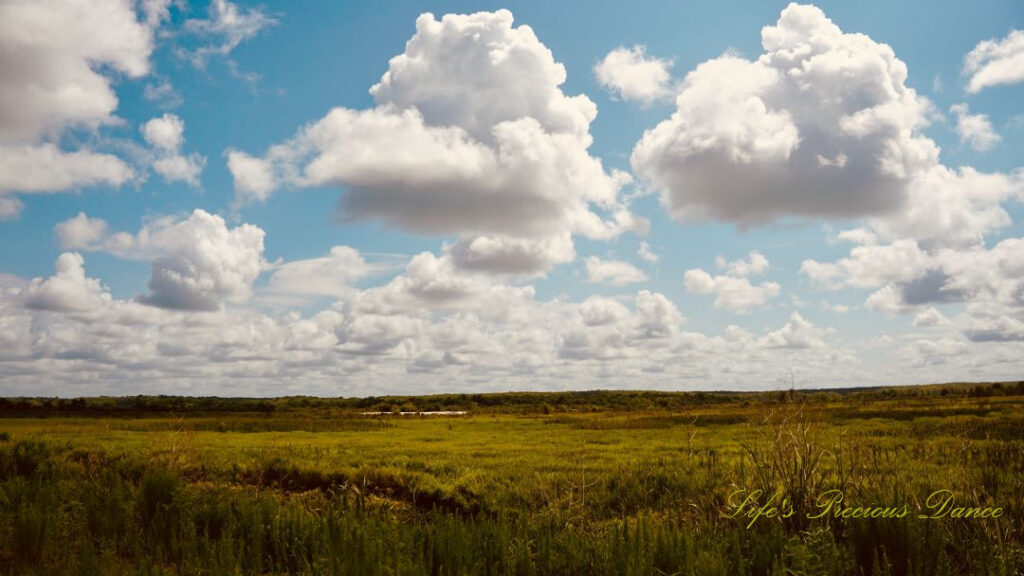 Landscape view of Savannah NWR. Fluffy passing clouds overhead.