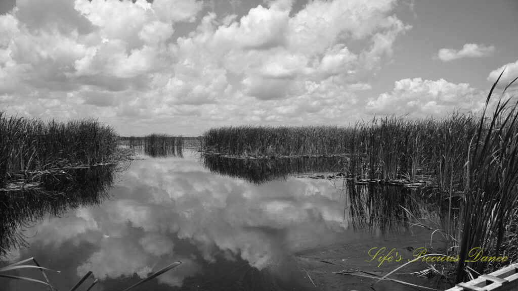 Black and landscape view of a canal at Savannah NWR. Passing clouds overhead reflecting in the water.