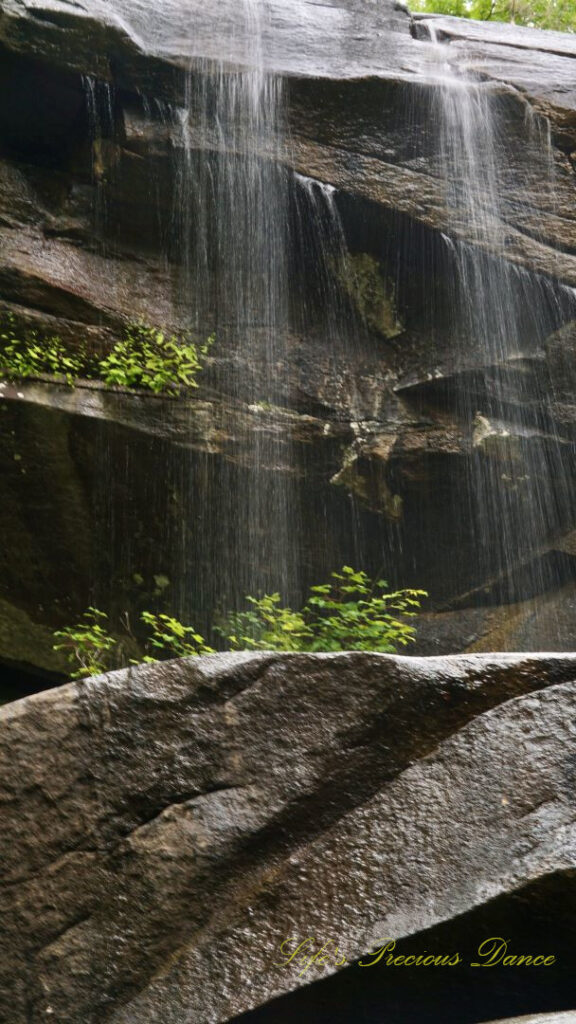 Daniel Ridge Falls cascading down and over the rockface.