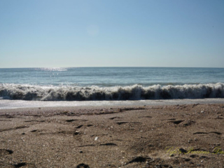 Waves crashing into the shore at Edisto Beach State Park.