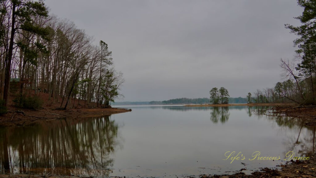 Trees around a cove of Lake Murray, reflecting on the water&#039;s surface. Overcast skies overhead.