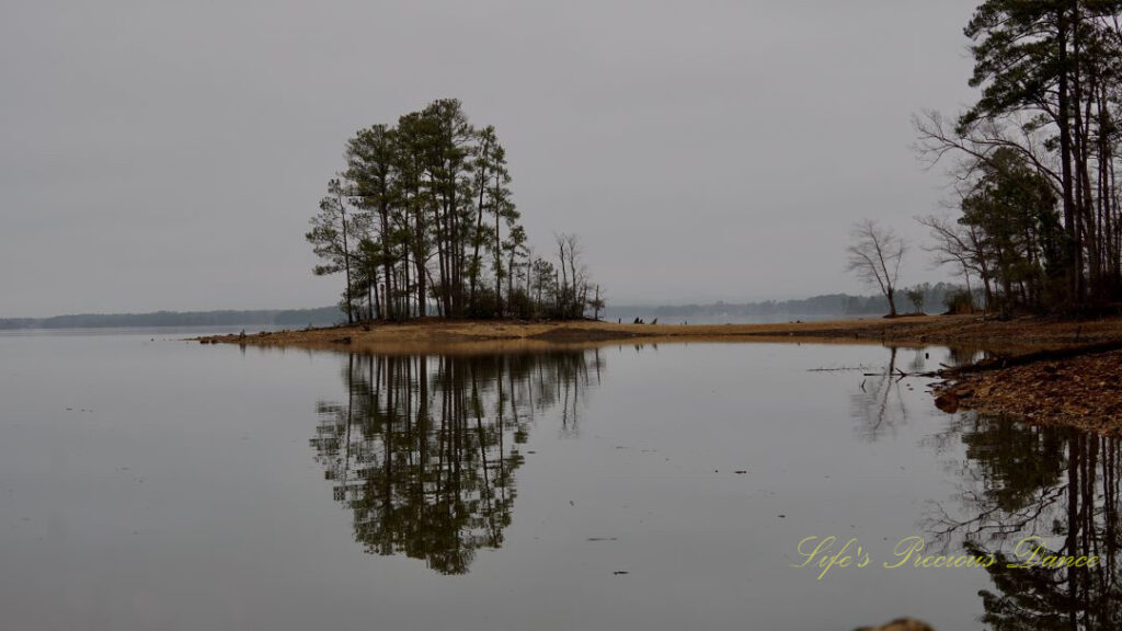 Small island of trees reflecting on the surface of Lake Murray.