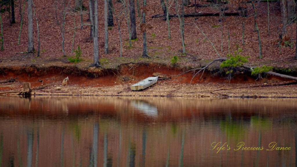 Rowboat resting on the bank of Lake Murray, reflecting along with trees on the waters surface.