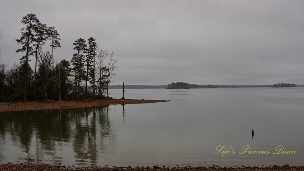 Waterscape view of Lake Murray, Mostly cloudy skies overhead and a patch of trees to the left, reflecting on the waters surface.