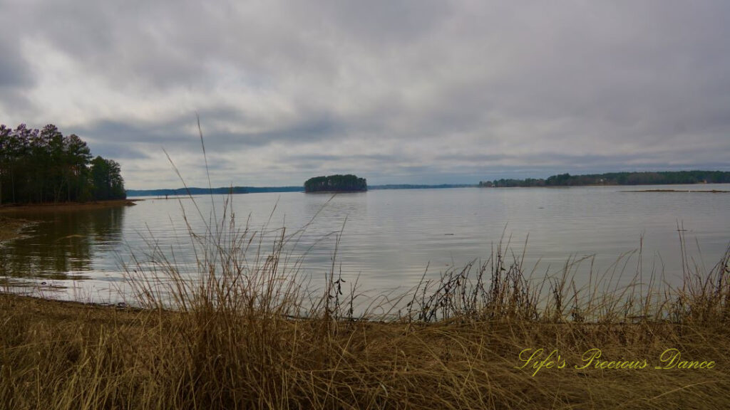 Landscape view of Lake Murray. Cloudy skies overhead and an island of trees in the center of the water. Dead grass in the foreground.