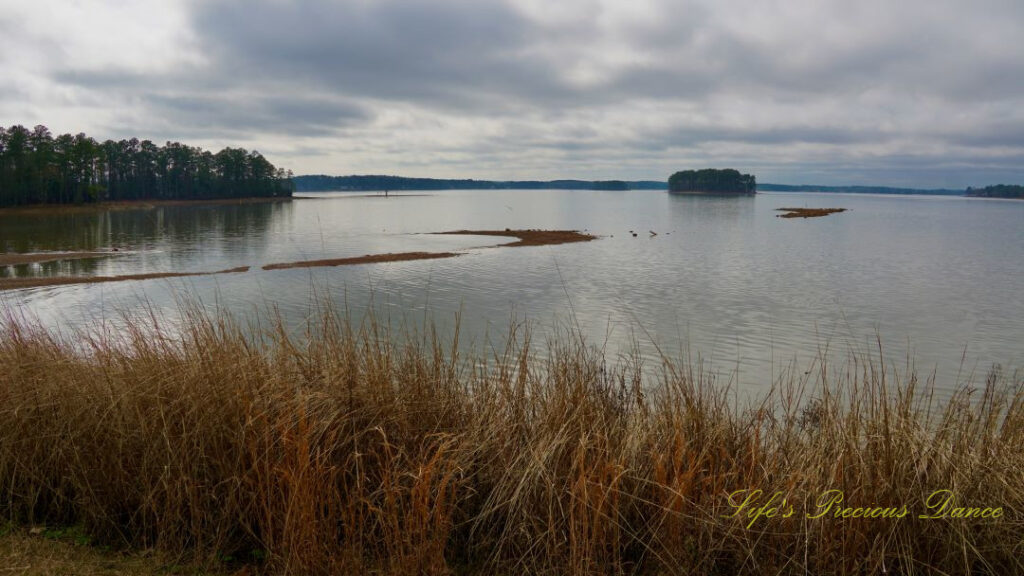 Landscape view of Lake Murray. Cloudy skies overhead and an island of trees in the center of the water and to the left. Dead grass in the foreground.