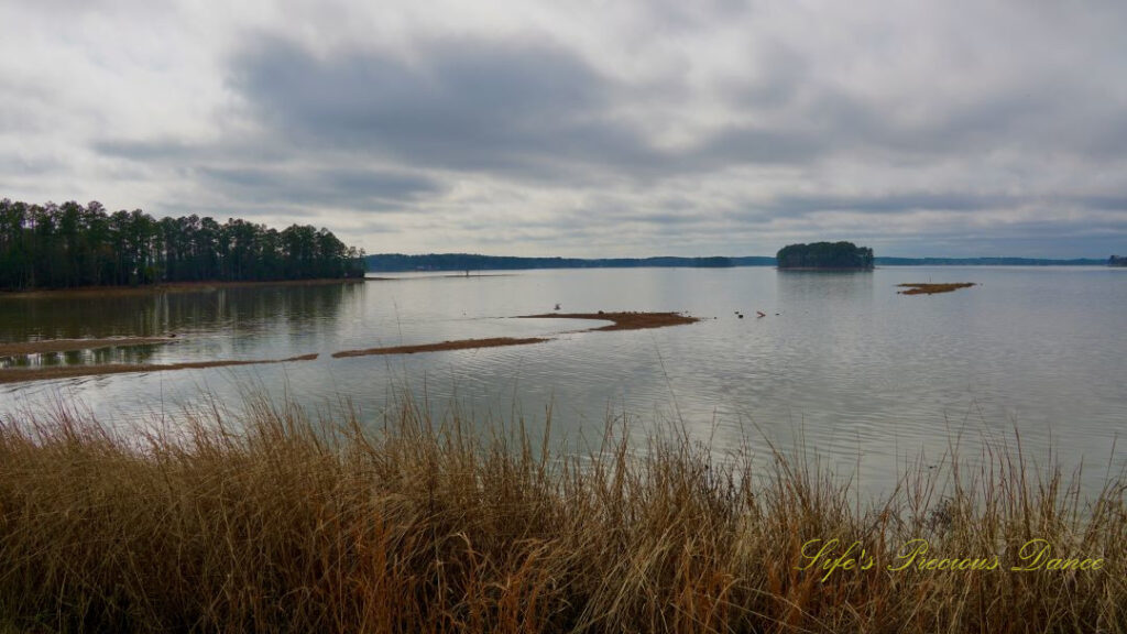 Landscape view of Lake Murray. Cloudy skies overhead and an island of trees in the center of the water and to the left. Dead grass in the foreground.