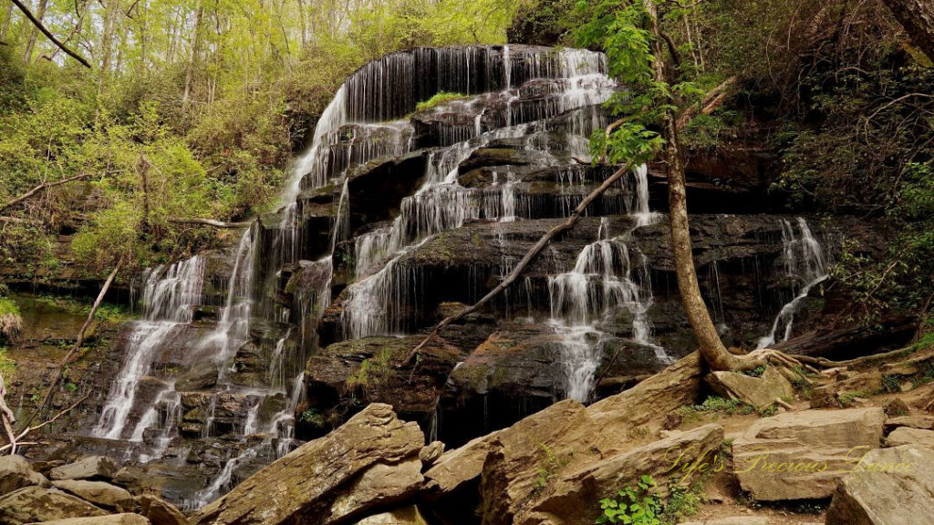 Yellow Branch Falls spilling down and over the rocks towards the creek below.