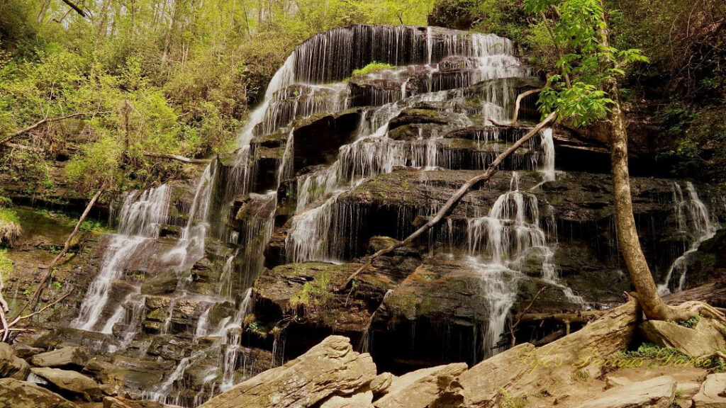 Yellow Branch Falls spilling down and over the rocks towards the creek below.