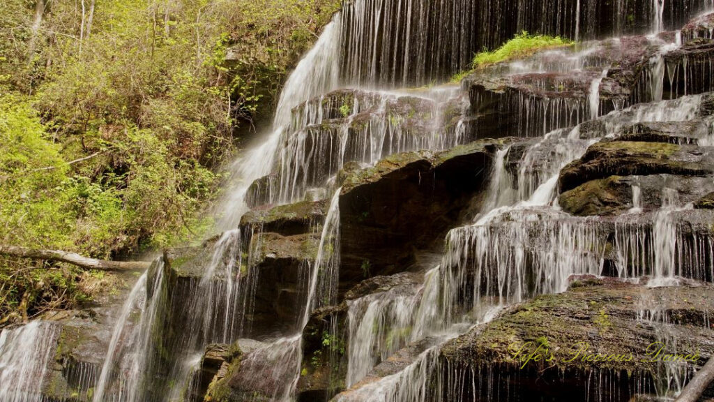 Close up of Yellow Branch Falls spilling over the moss covered rocks.