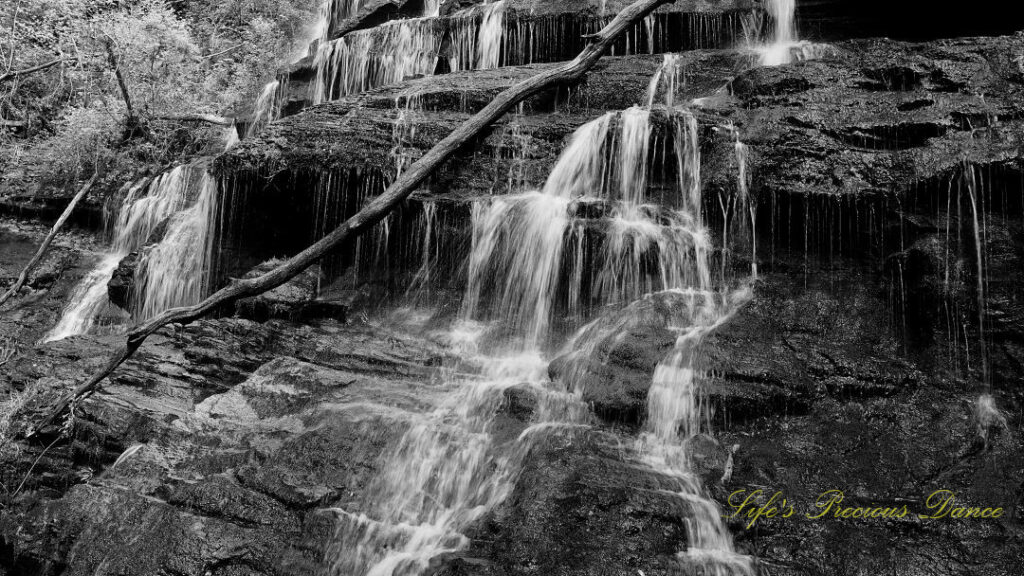 Black and white of Yellow Branch Falls spilling down the jagged rocks.