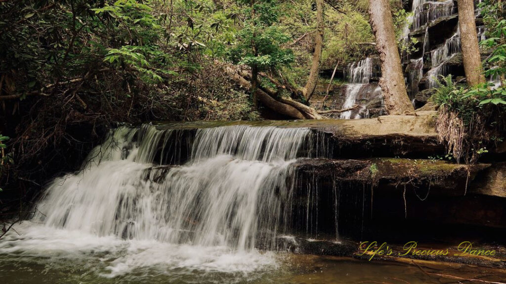 Lower section of Yellow Branch Falls spilling over a rock ledge into the creek.