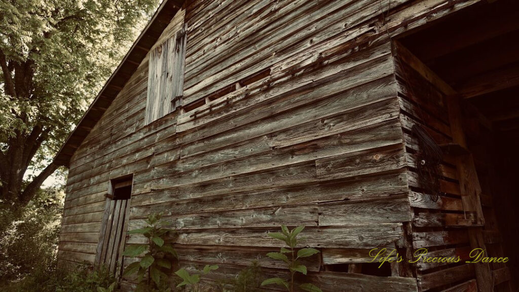 Looking upward at doors on a barn