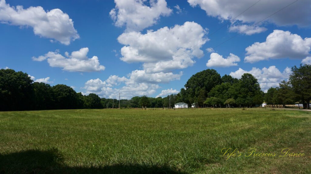 Landscape view of a pasture. Fluffy clouds overhead. A farmhouse and trees in the background.