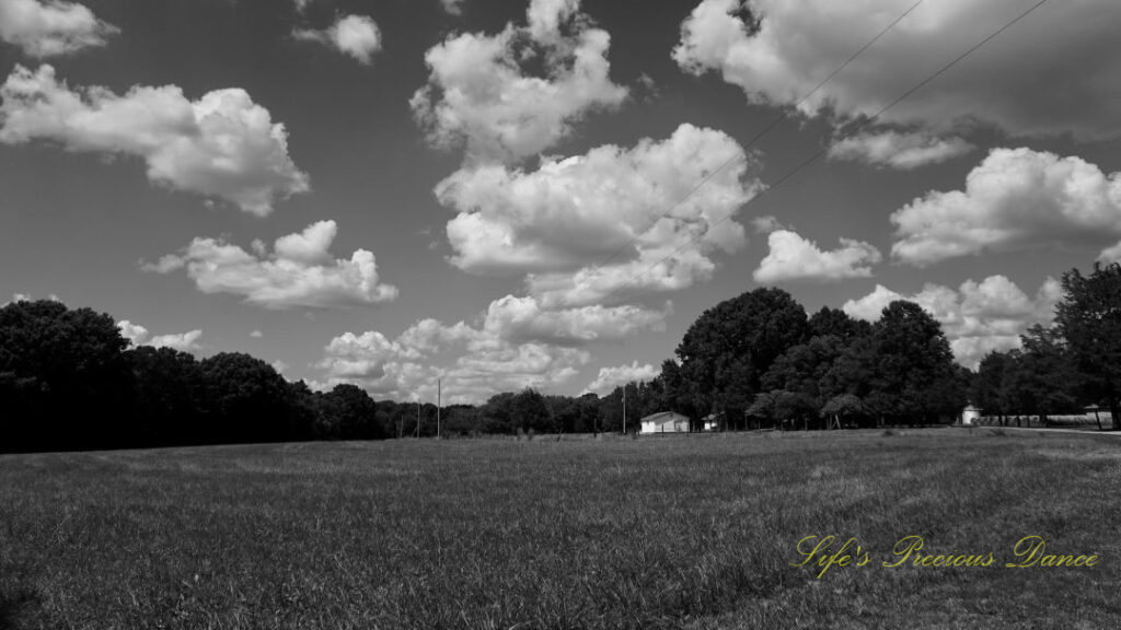 Black and white landscape view of a pasture. Fluffy clouds overhead. A farmhouse and trees in the background.