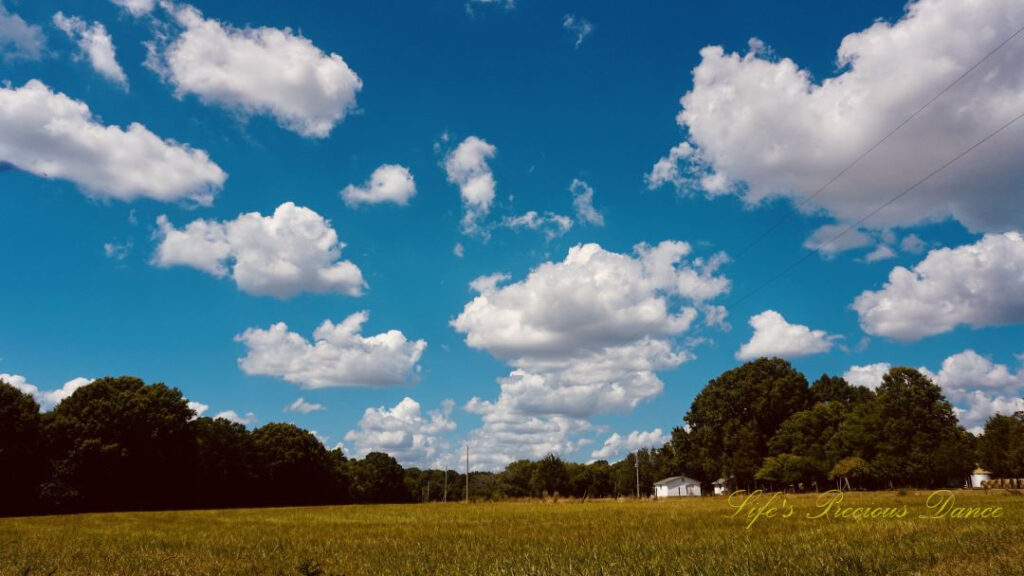 Landscape view of a pasture. Fluffy clouds overhead. A farmhouse and trees in the background.