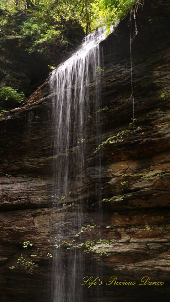 Close up of the upper section of Moore Cove Falls spilling over the rockledge.