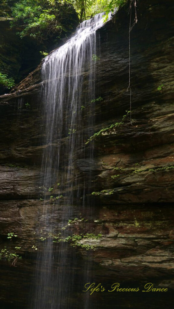 Close up of the upper section of Moore Cove Falls spilling over the rockledge.