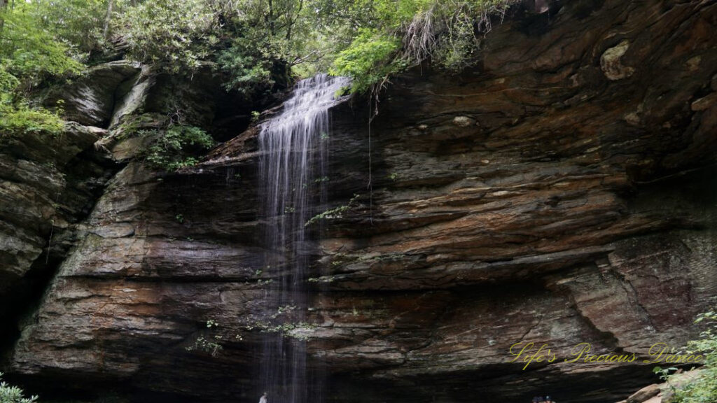 Close up of the upper section of Moore Cove Falls spilling over the rockledge.