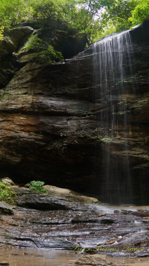 Moore Cove Falls spilling over the rock ledge into a pool of water below.