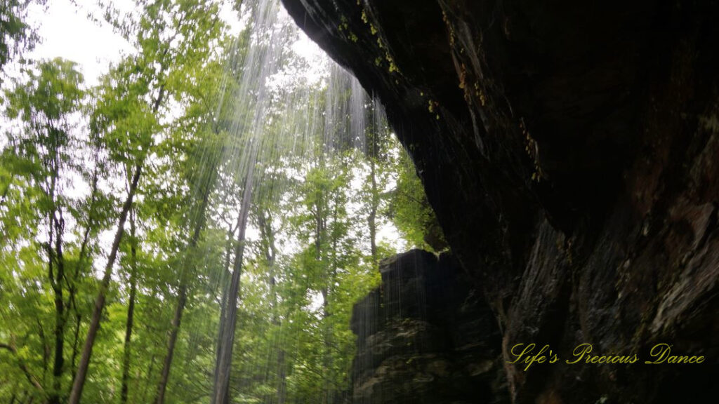 Looking upward and from behind Moore Cove Falls spilling over the rock ledge.