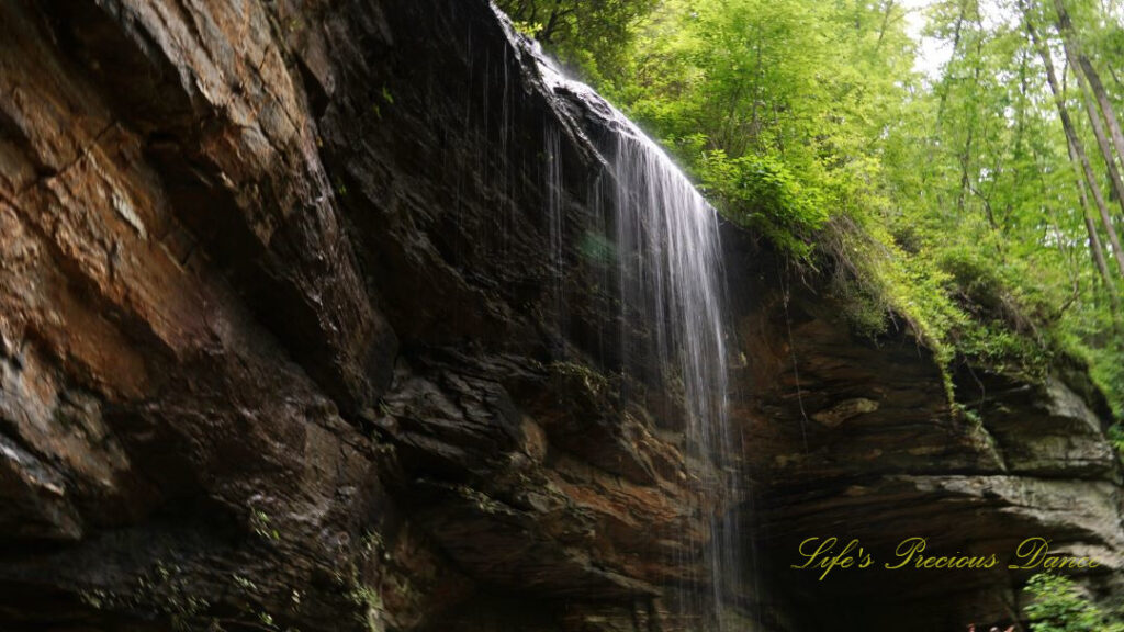 Close up of the upper portion of Moore Cove Falls spilling over the rock ledge.