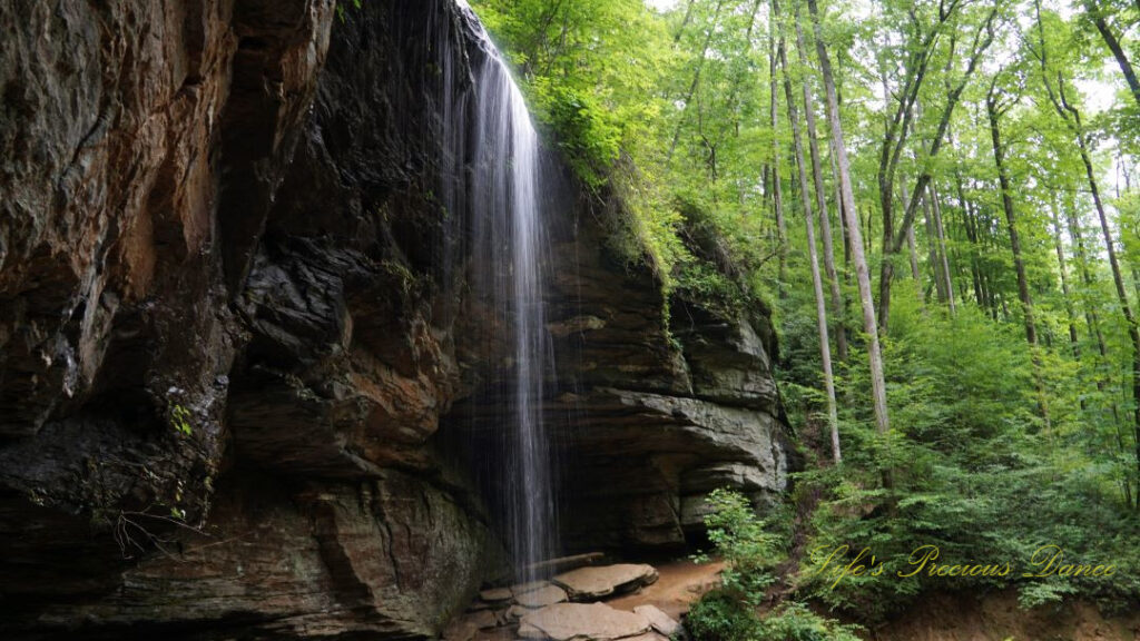 Moore Cove Falls spilling over a rock ledge. Trees to the right and the jagged rock wall to the left.