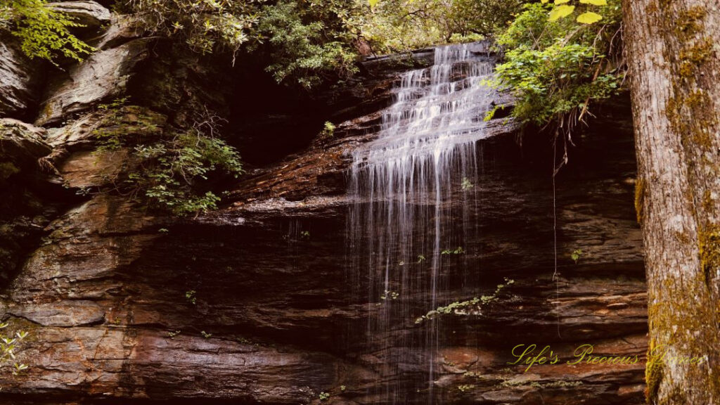 Close up of the upper section of Moore Cove Falls spilling over the rockledge.