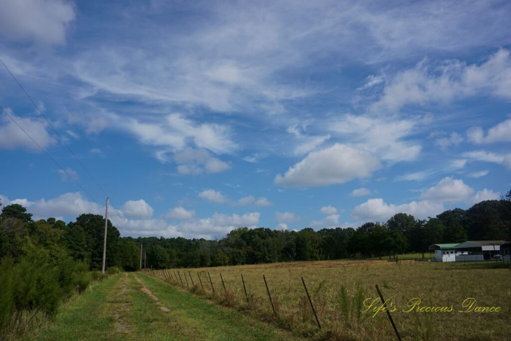 Passing clouds over a pasture. To the left power lines and a fence run along a grass covered drive.