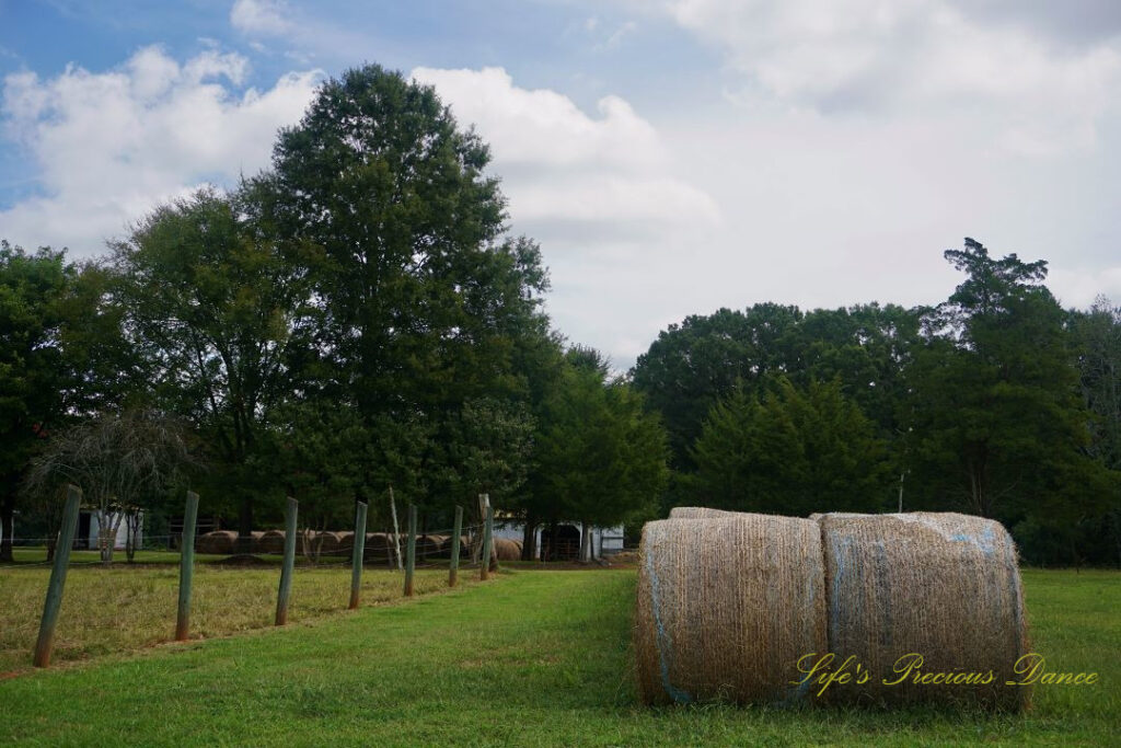 Hay bales to the right and a pasture fence to the left. A barn surrounded by trees in the background and passing clouds overhead.