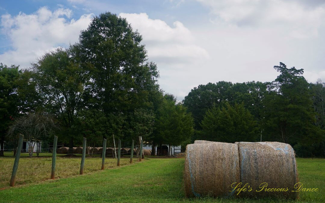 Hay bales to the right and a pasture fence to the left. A barn surrounded by trees in the background and passing clouds overhead.