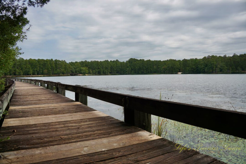 A boardwalk runs along the left side of Lake Juniper. Clouds overhead.