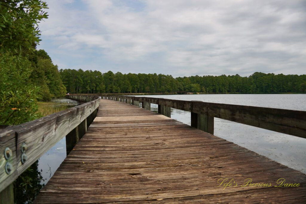 Ground level view of the boardwalk passing over Lake Juniper. Passing clouds overhead.