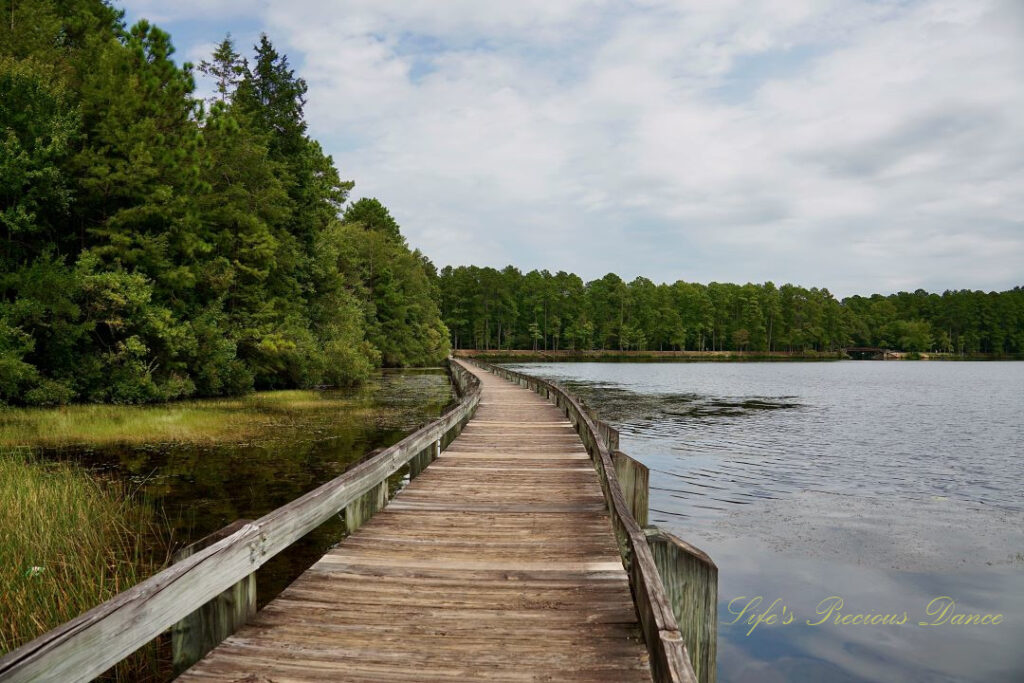 Boardwalk running through Lake Juniper. Passing clouds overhead reflecting in the water.