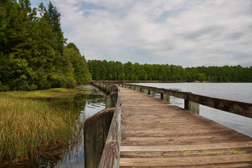 Boardwalk running through Lake Juniper. Passing clouds overhead and marsh grass and trees to the left.