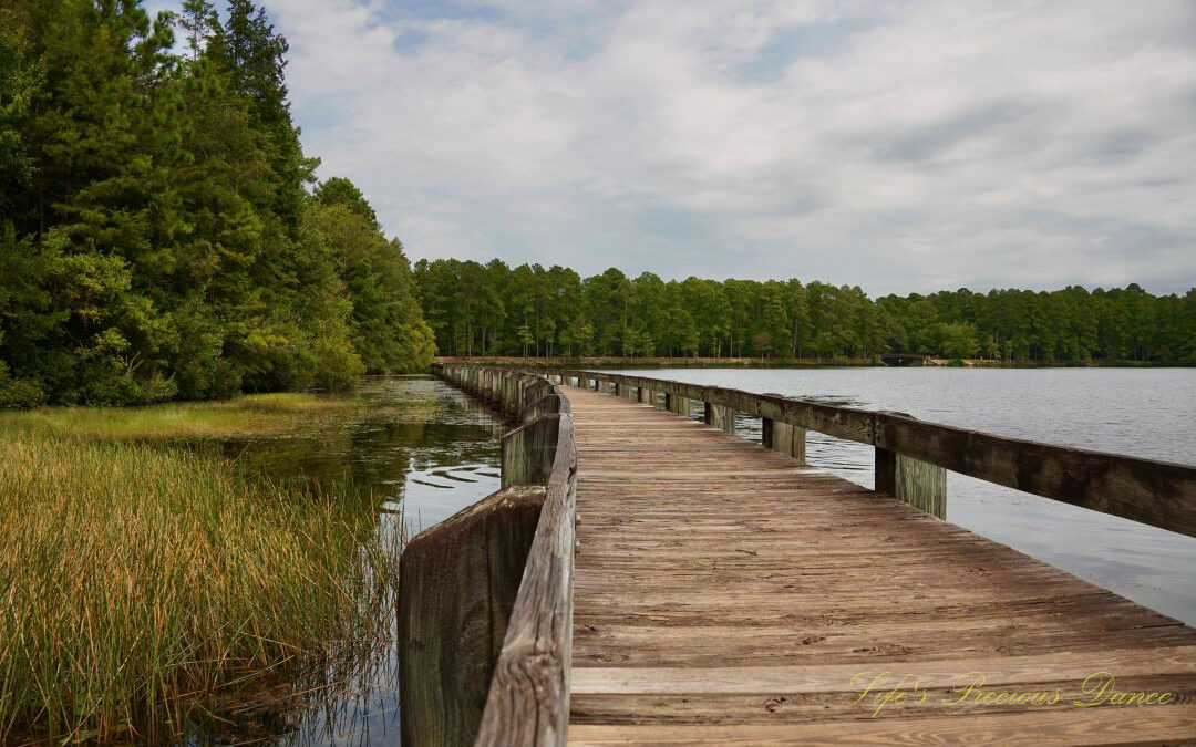 Cheraw State Park