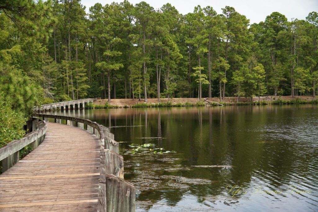 A boardwalk runs along the left side of Lake Juniper, curving to a trail in the background.