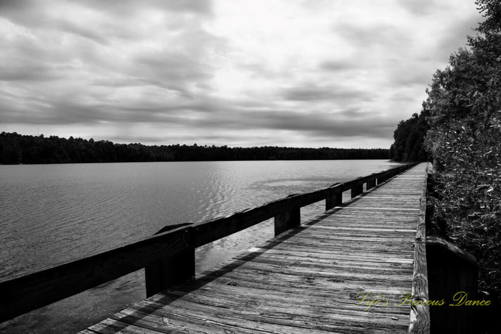 Black and white of a boardwalk running along the right side of Lake Juniper. The sun trying to peek through cloudy skies.